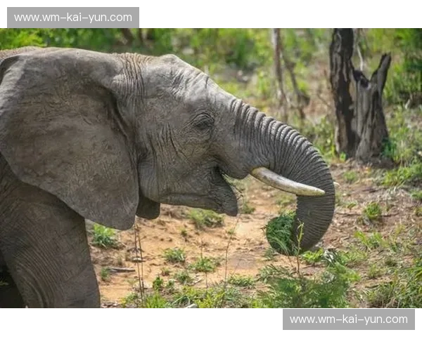 《联合vs孤勇：在时代的裂缝中，谁能定义未来的生存法则？》